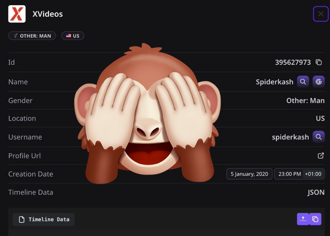 ✦✦✦ 𝙿𝚊𝚖𝚙𝚑𝚕𝚎𝚝𝚜 ✦✦✦ tweet media