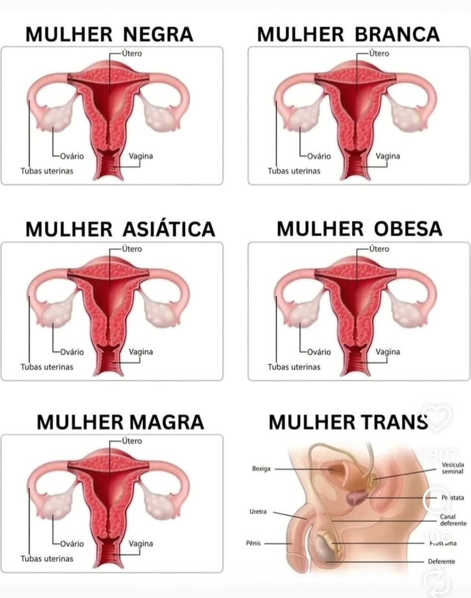 Nilson 🇧🇷 tweet media