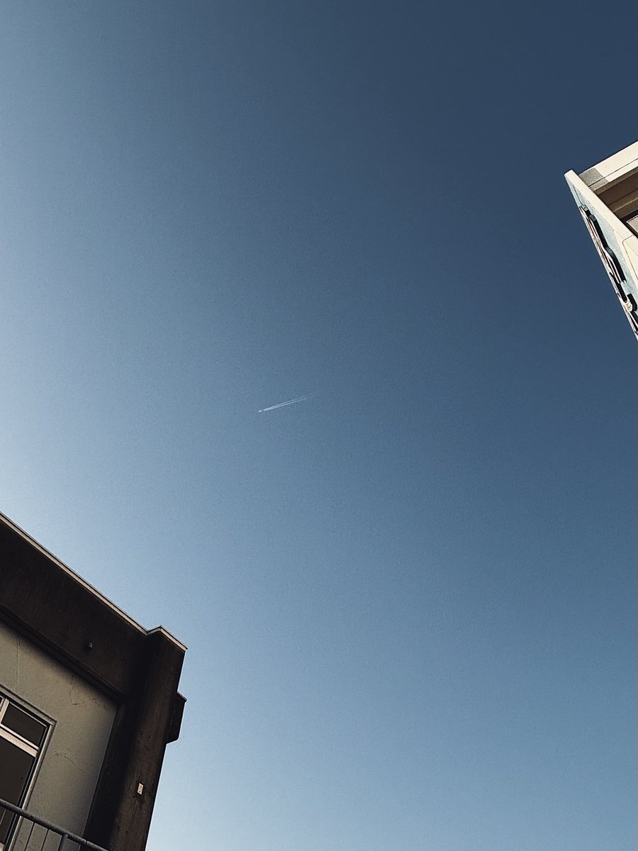 べんと tweet media