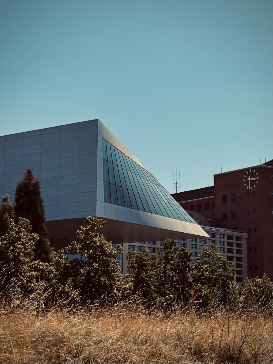 べんと tweet media