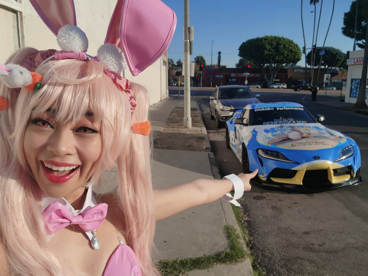 Kir Wuff tweet media