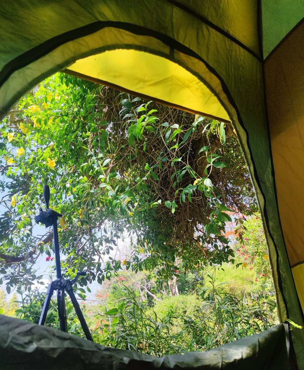 Nguyễn Doãn Phước | Lucky ND tweet media