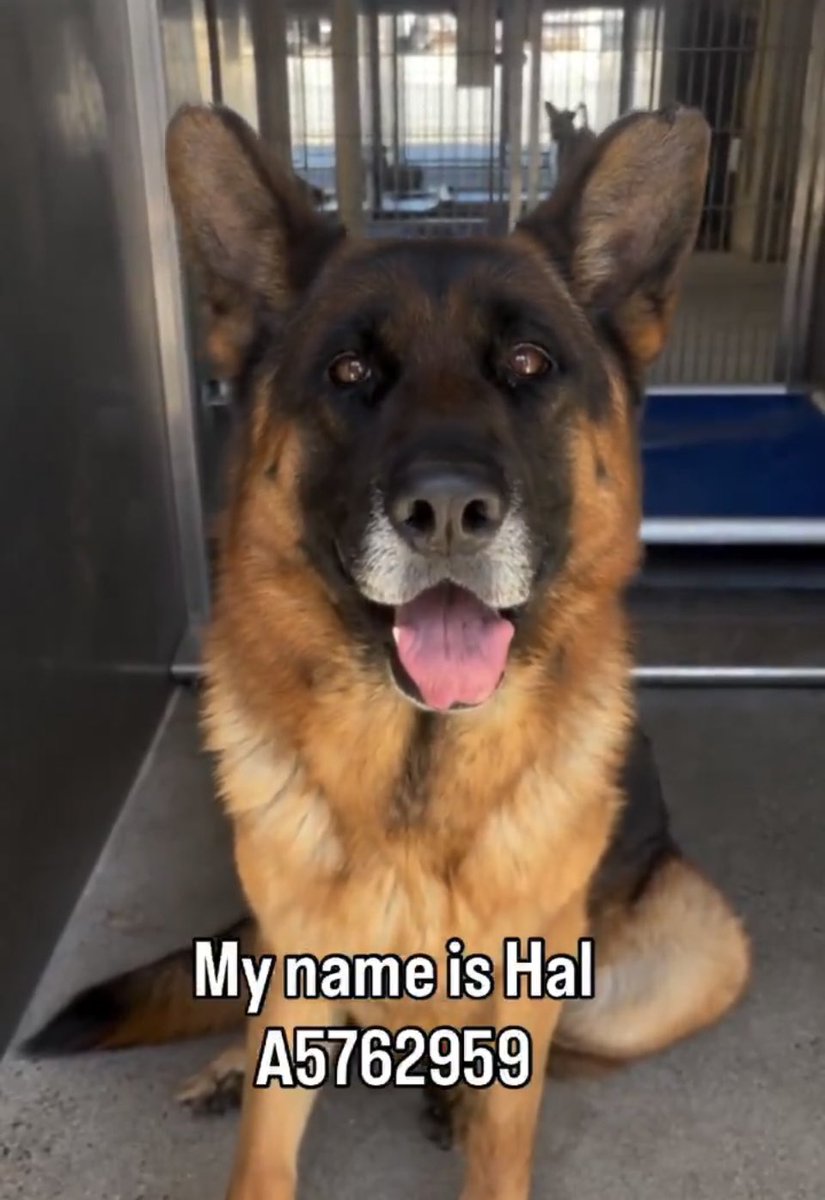 Labigator Mom tweet media