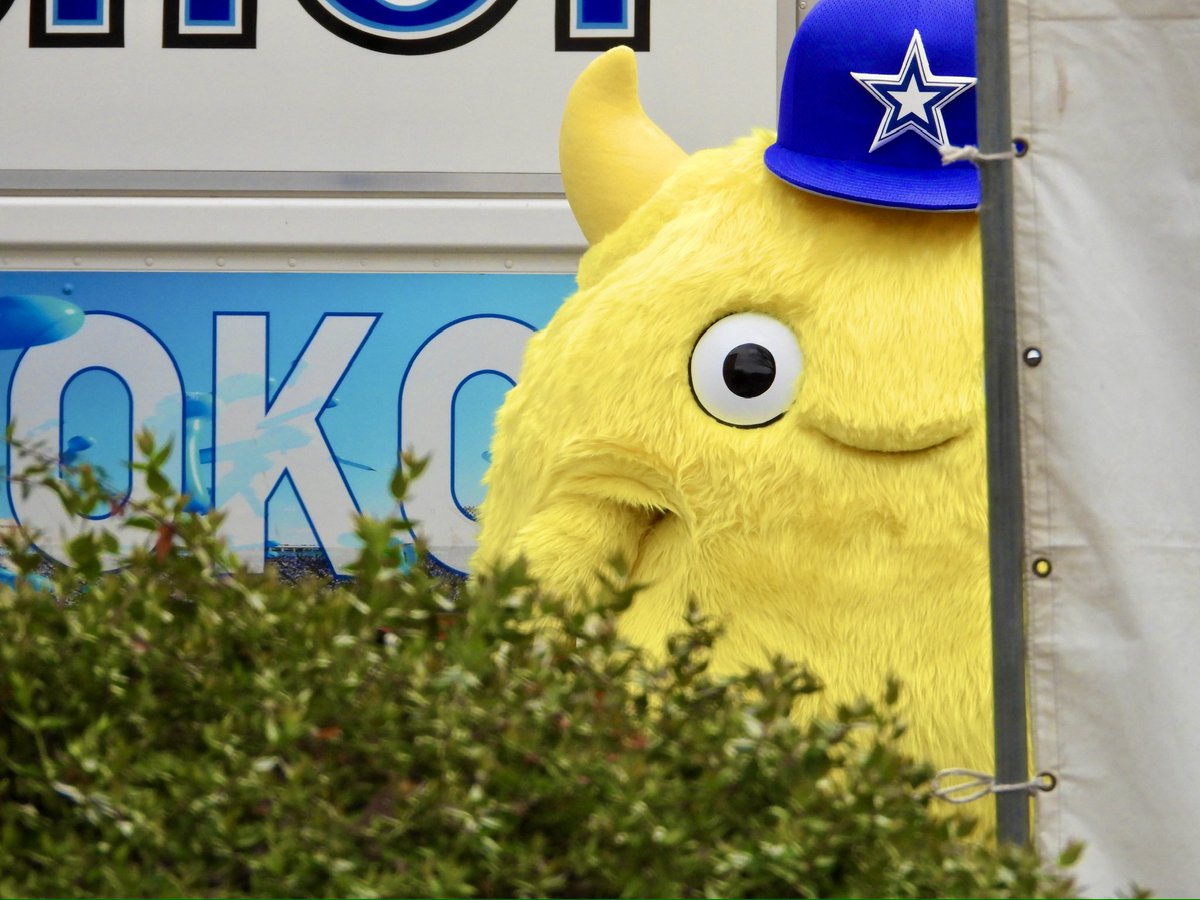 🟡🦭 tweet media