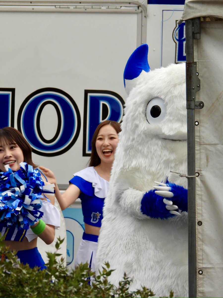 🟡🦭 tweet media