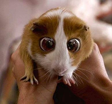 la amo a javadi me hace acordar a este bicho de cuentos q no son cuentos