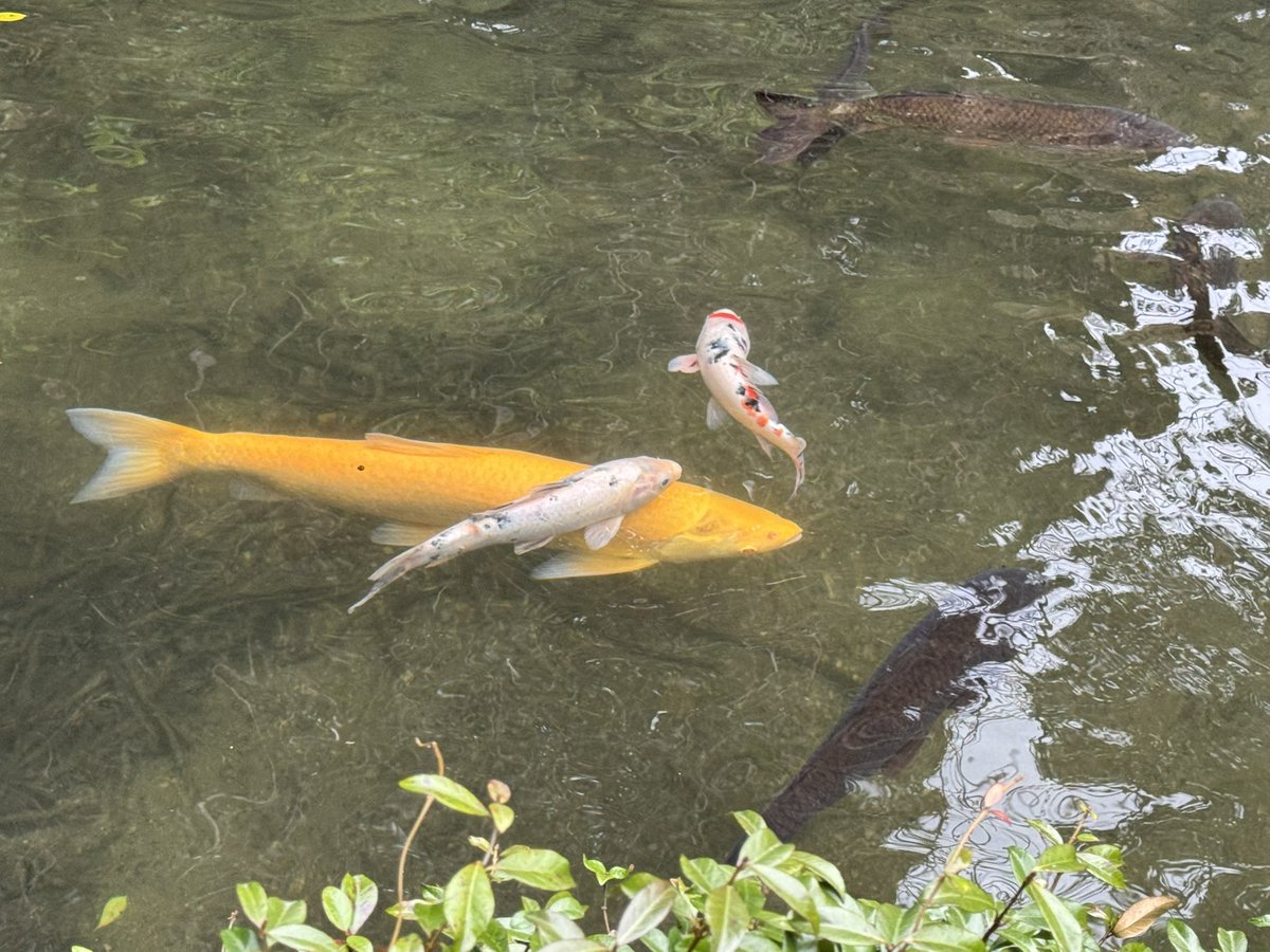 えのも tweet media