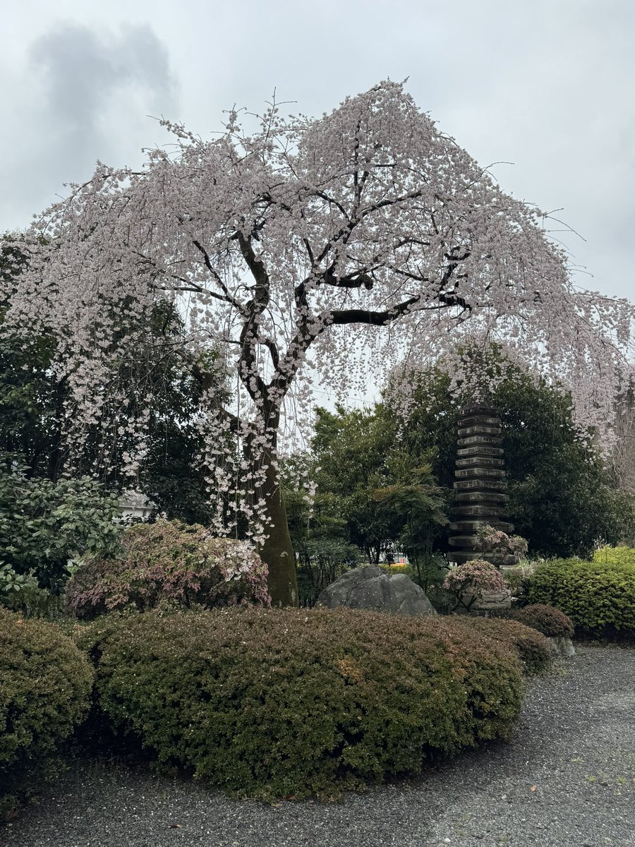 えのも tweet media