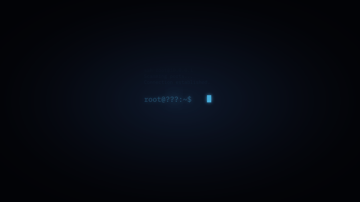Static Signal tweet media