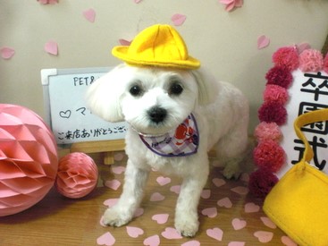 PETandLIFE's tweet photo. おはようございます▽･ｗ･▽
#トリミング
#ペットホテル
#ペットサロン
#新規のお客様ポイント5倍
#おかげさまでオープン16周年
#みんな元気 https://t.co/z4ZLBGhrje