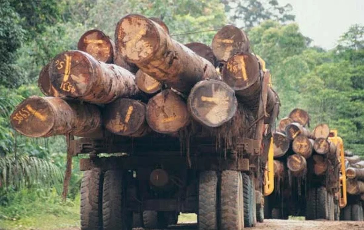 Peter Clack tweet media