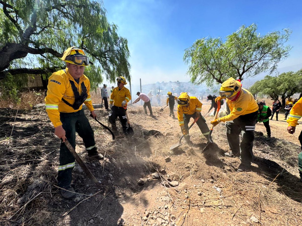 PROBOSQUE tweet media