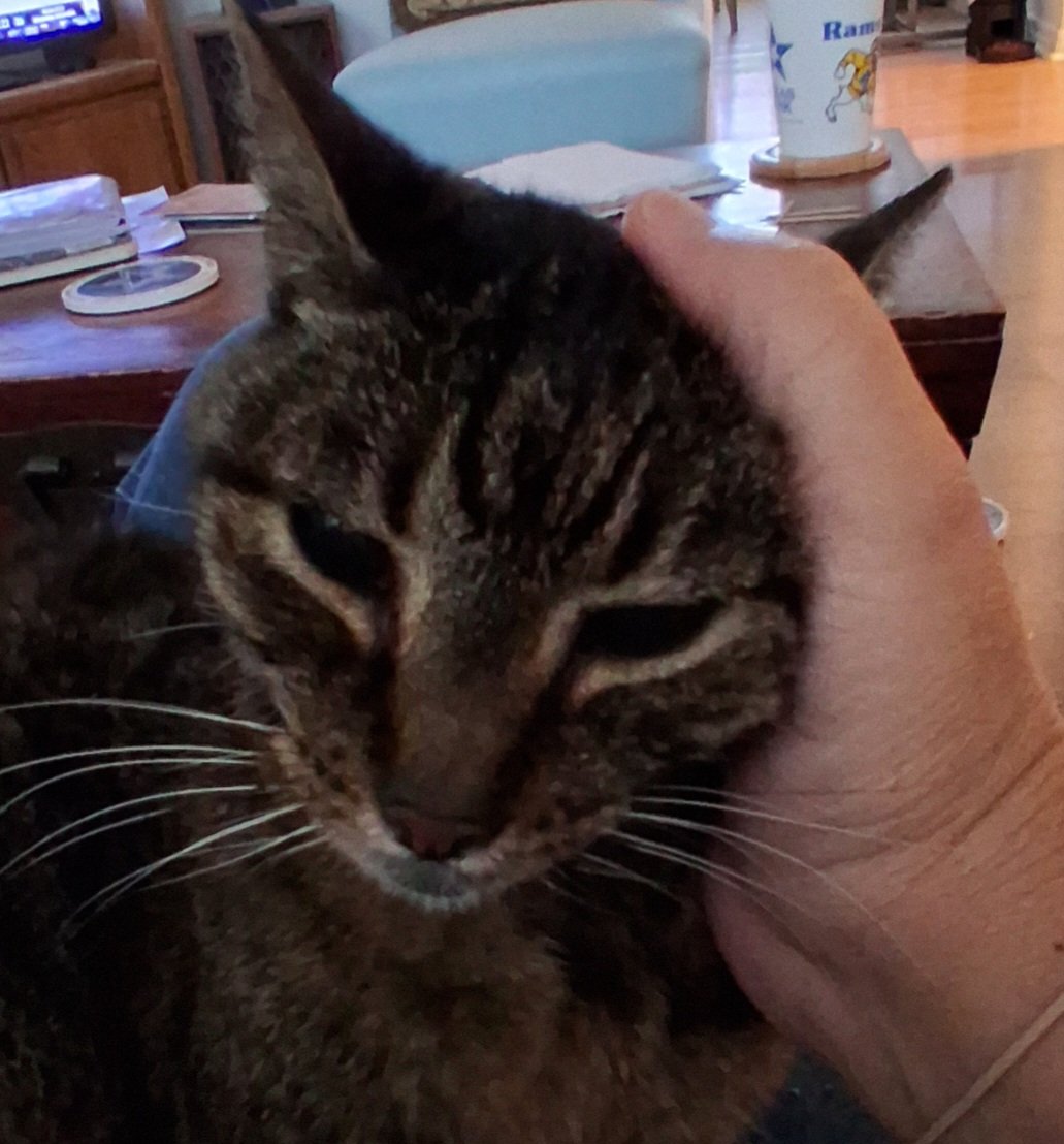 Janilla Wagner tweet media