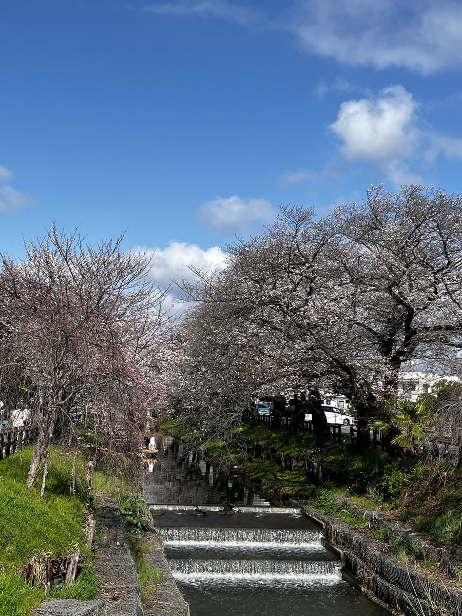 一二三@コスプレカメラマン tweet media