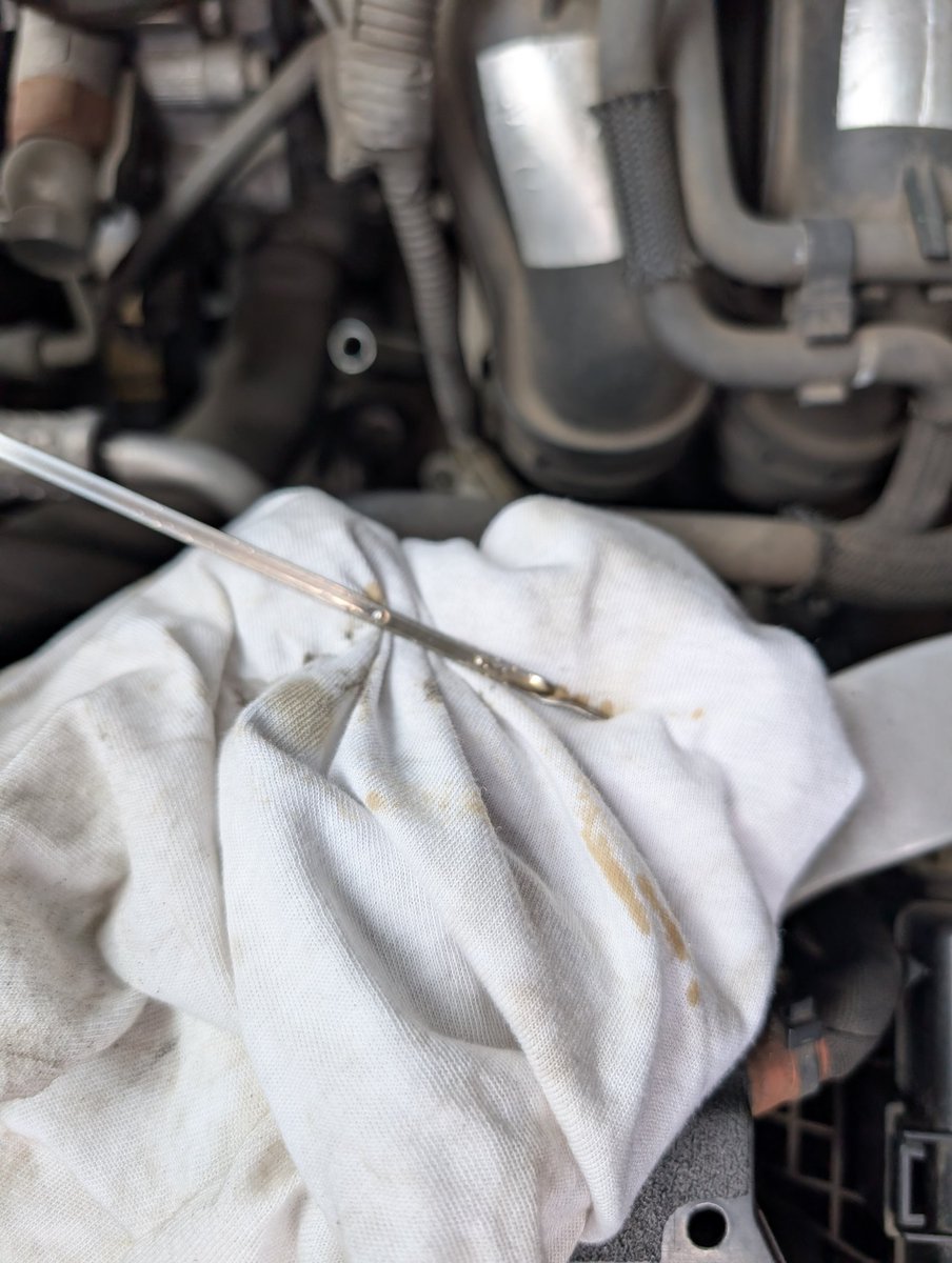 shakotan☆cub tweet media