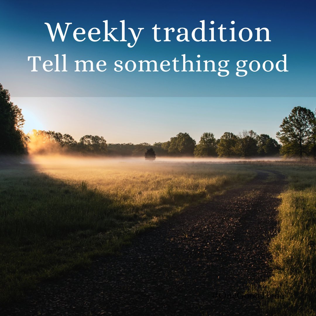 The Hoarse Whisperer tweet media