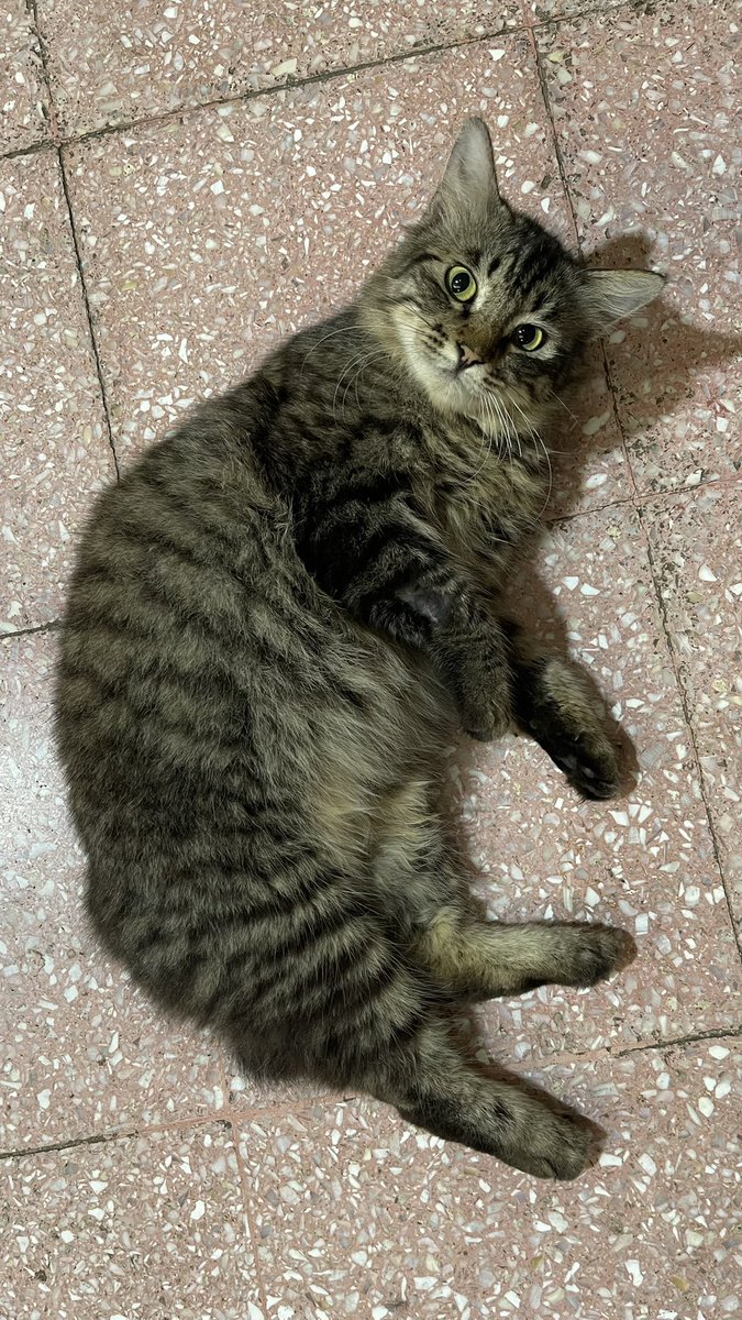 Sashimyth tweet media