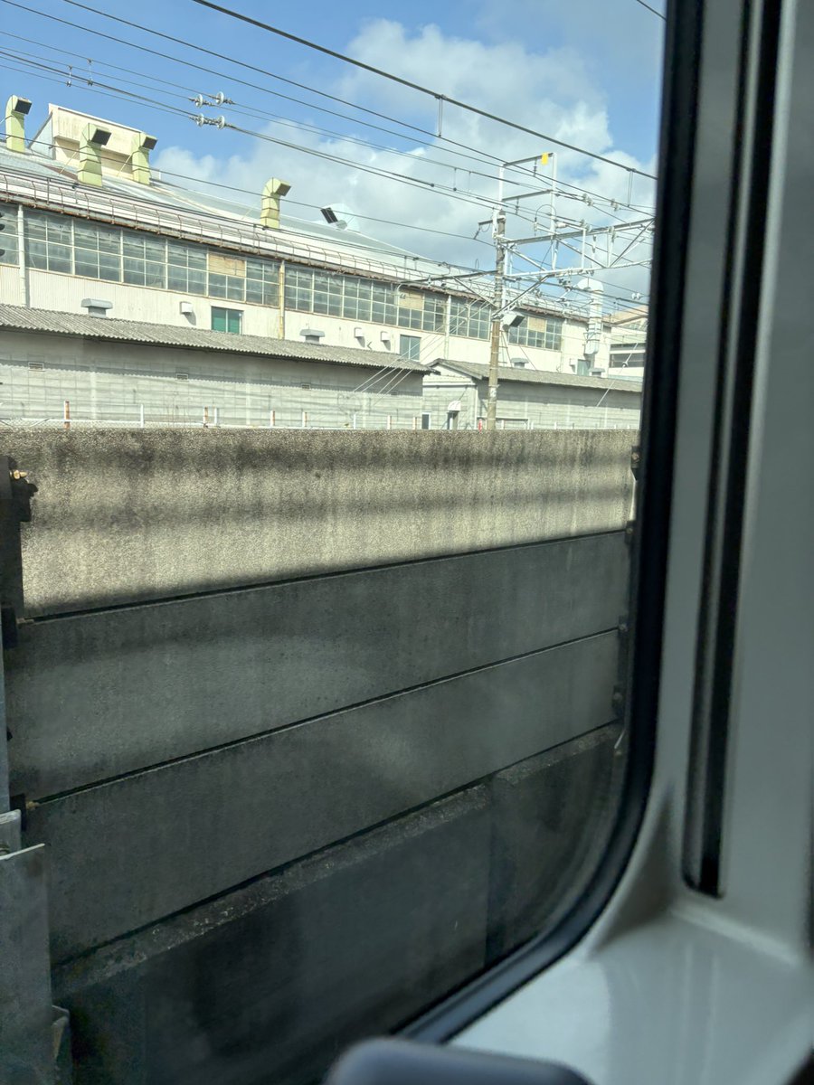 マチカネヒメボタル@掃愁帚 tweet media