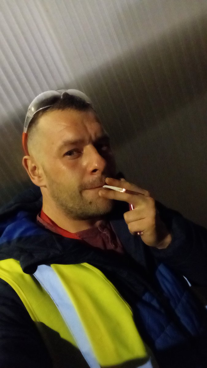 Daniel Dickie Bird tweet media