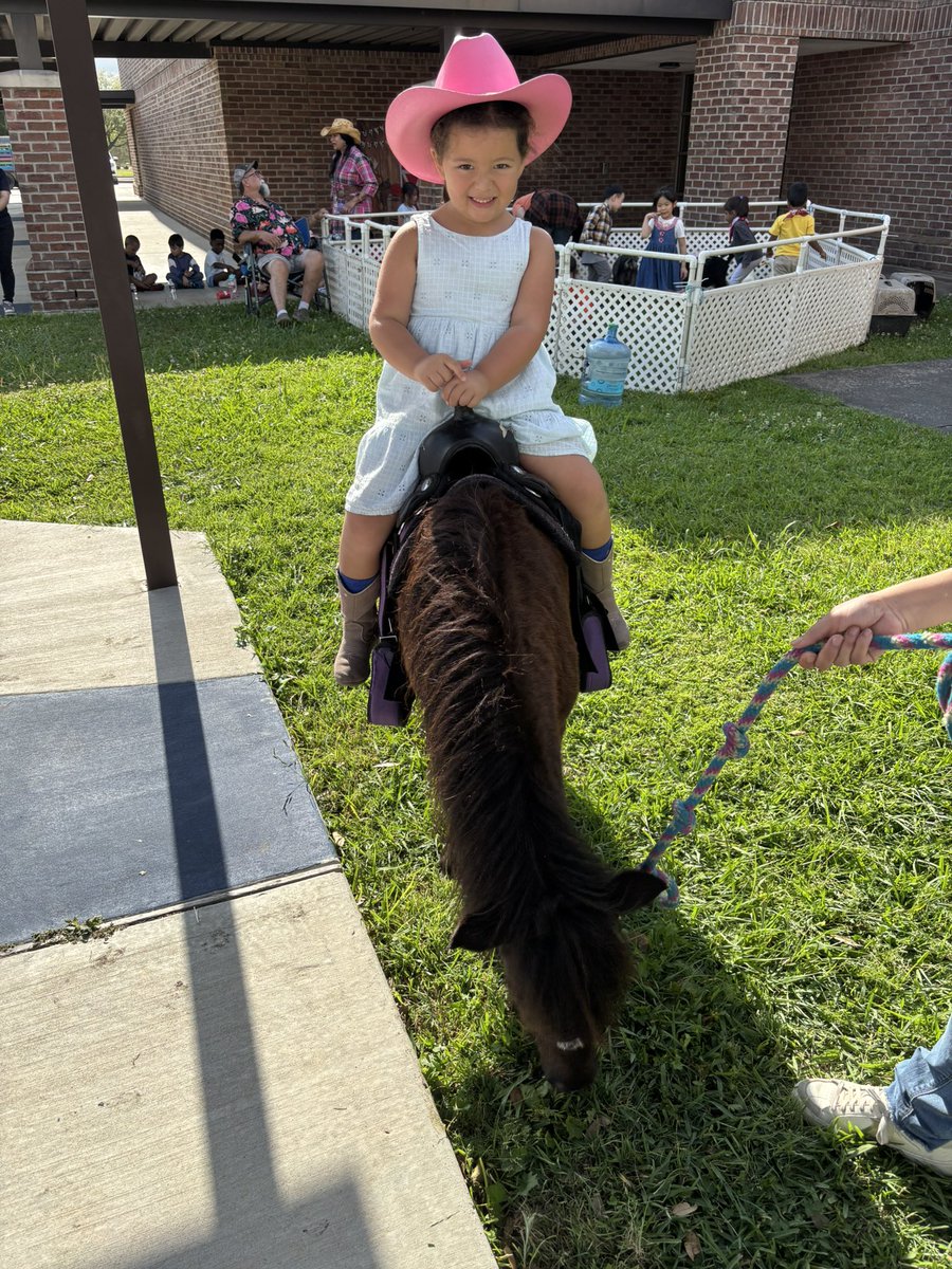 CSE Pre-K tweet media