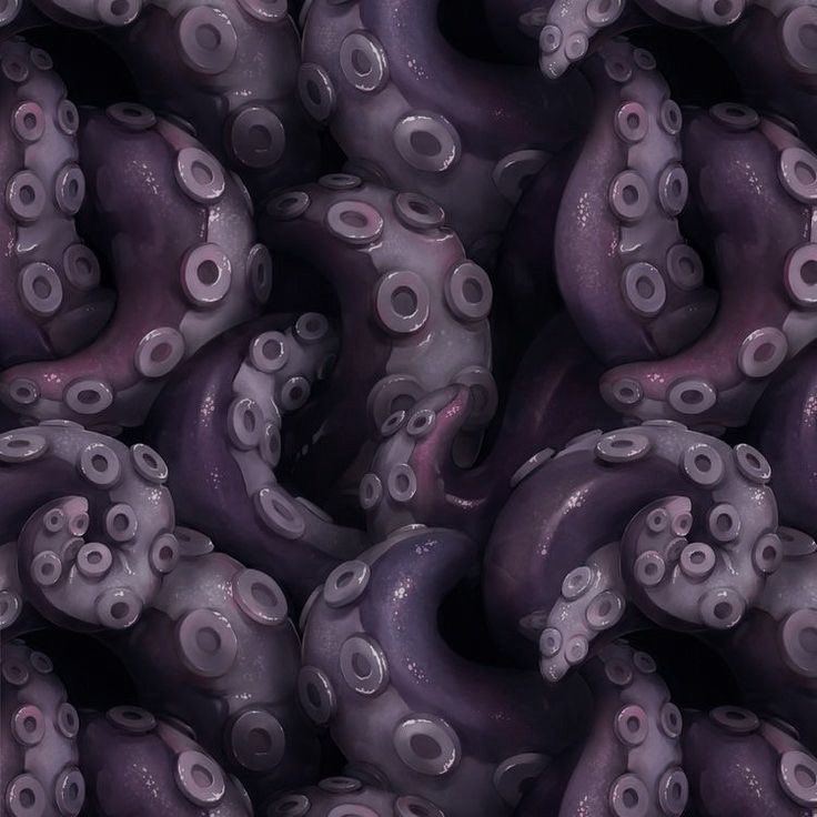 ⋆𓇼˚｡⋆ ‍ ‍ ‍ 𝖀𝖗𝖘𝖚𝖑𝖆. tweet media