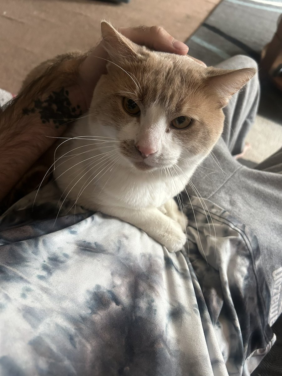 ᑕ𝖔𝐝𝛄🥀 tweet media