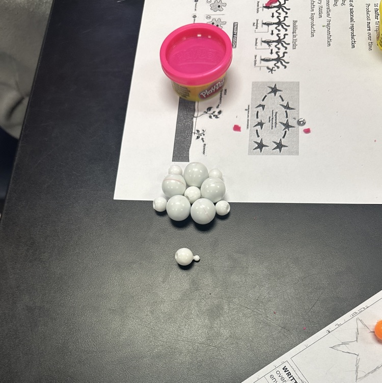 HumbleISD_CMS's tweet image. 7th grade science brought reproduction to life with model boxes! 🧬🌱 From budding hydra to fragmenting starfish, binary fission bacteria, propagating strawberries, and pollinating flowers, students explored survival strategies in action. Science that grows! #TheColtWay