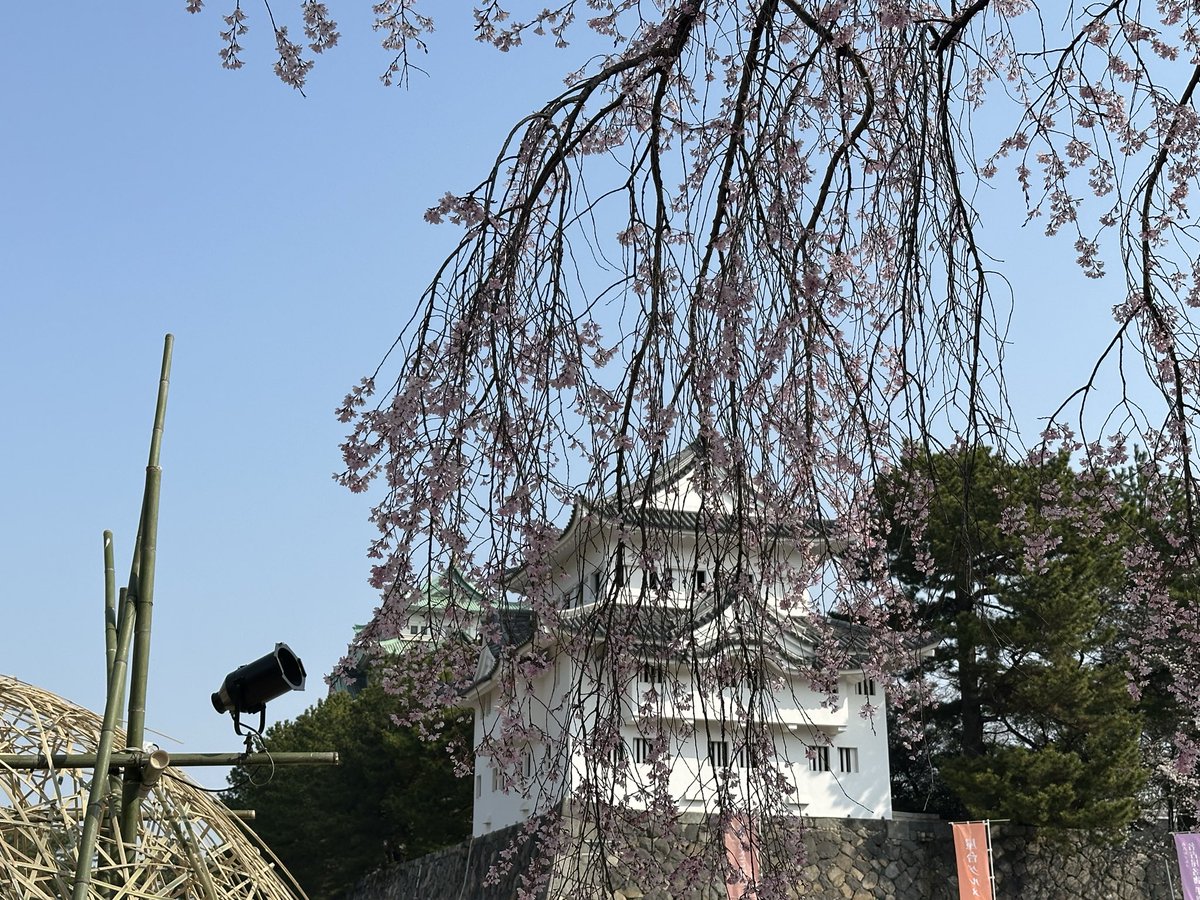 スローハンド tweet media