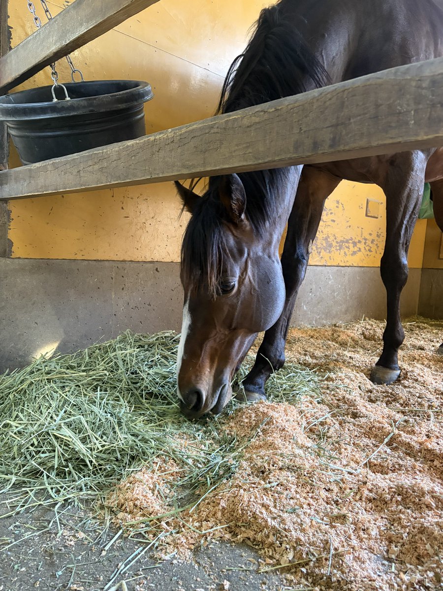 ใใ๐ซง๐ชผ tweet media