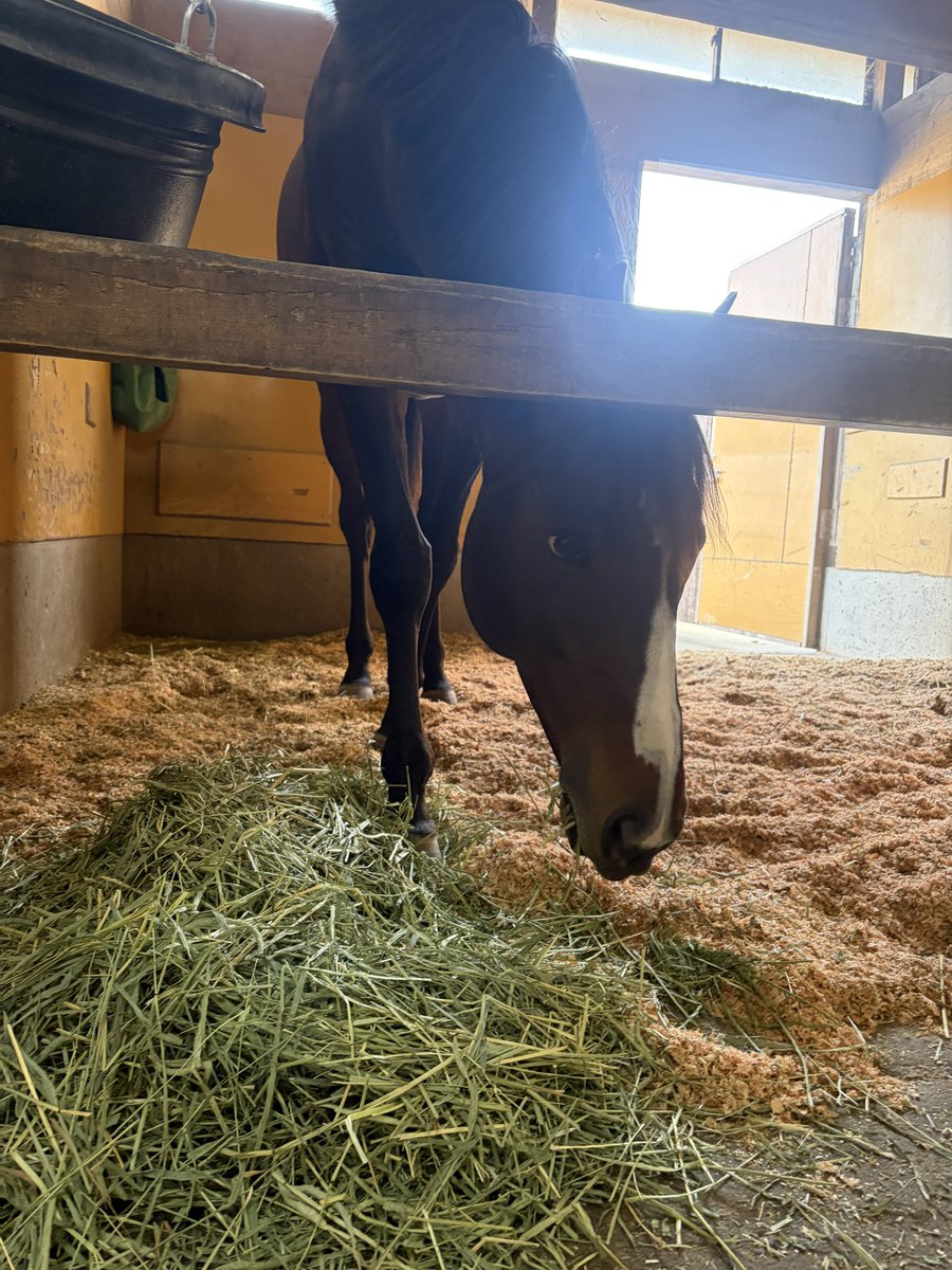 ใใ๐ซง๐ชผ tweet media