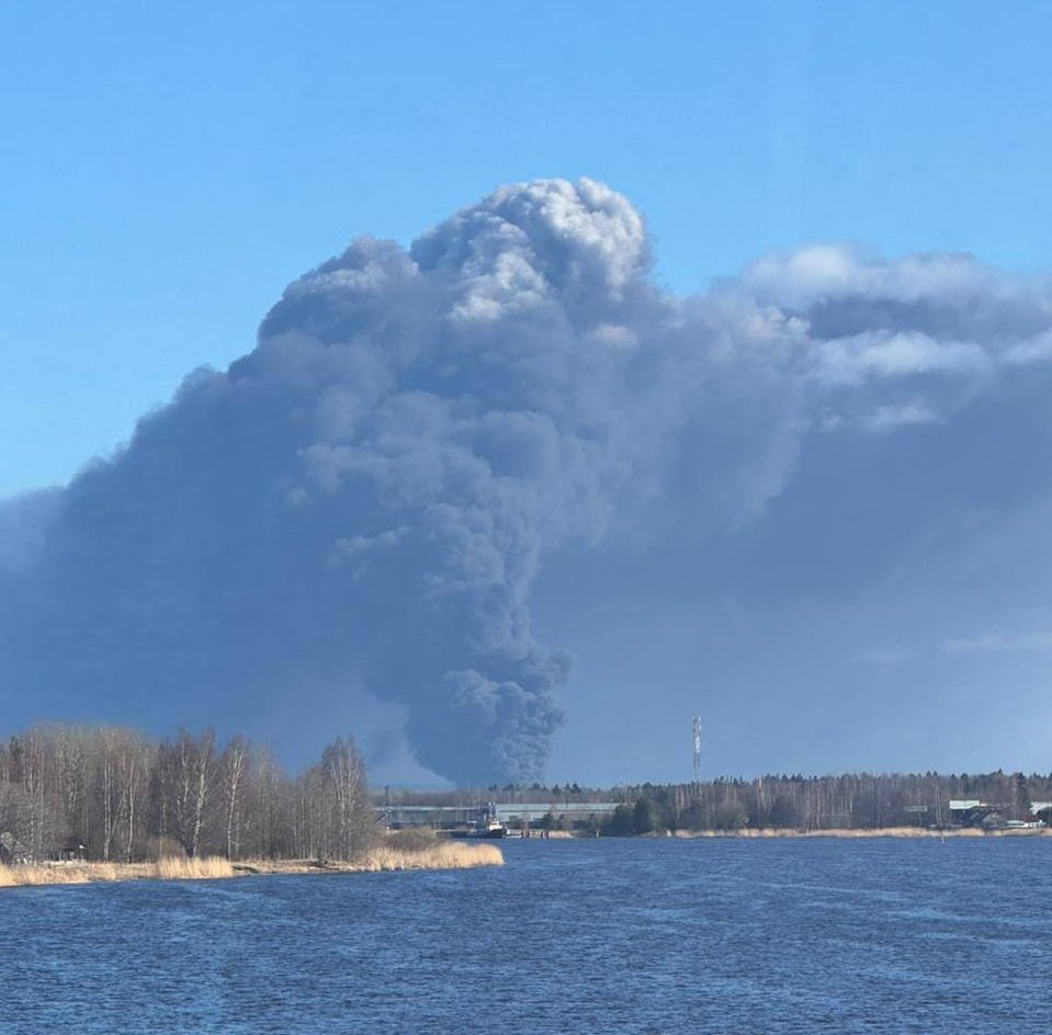 Igor Sushko tweet media