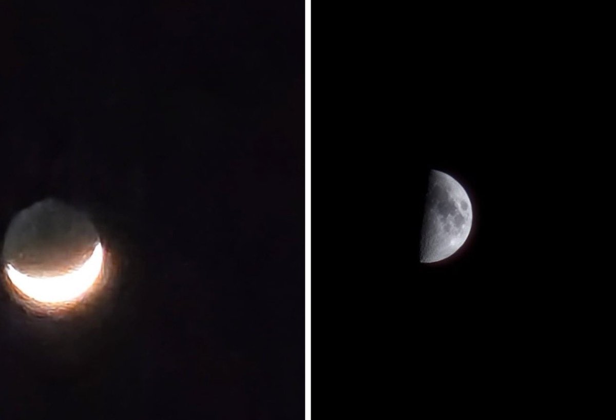 Concerned Citizen tweet media