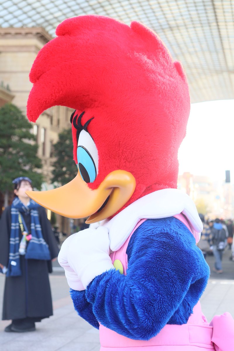 USJna0729's tweet photo. 📄५✍サイン中の🐦ウッディーを👀✨見守る🐦ウィニーちゃん
#USJファン #ウィニー  #ウッディー https://t.co/VBV1dxHfTW
