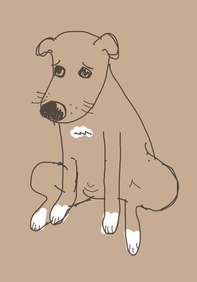 Tomohisa Iwai (いわい ともひさ) tweet media