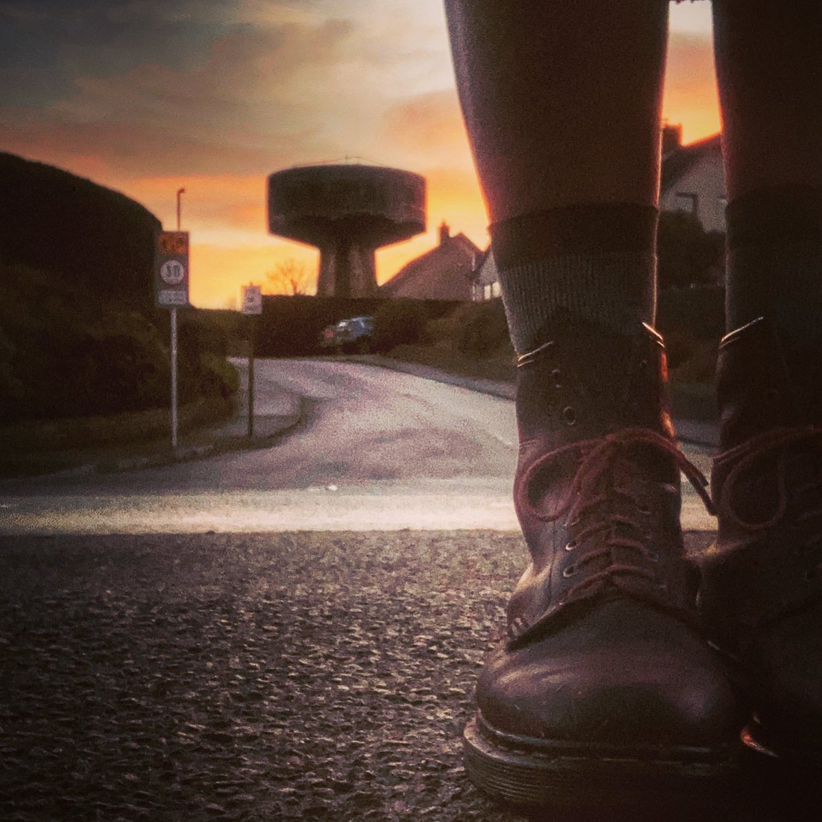 JewyCandy tweet media