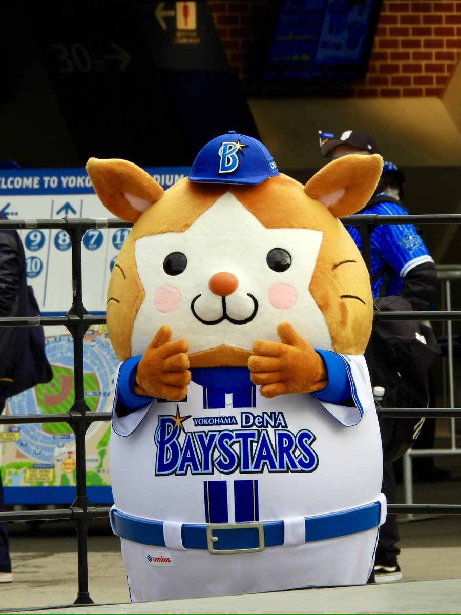 🟡🦭 tweet media