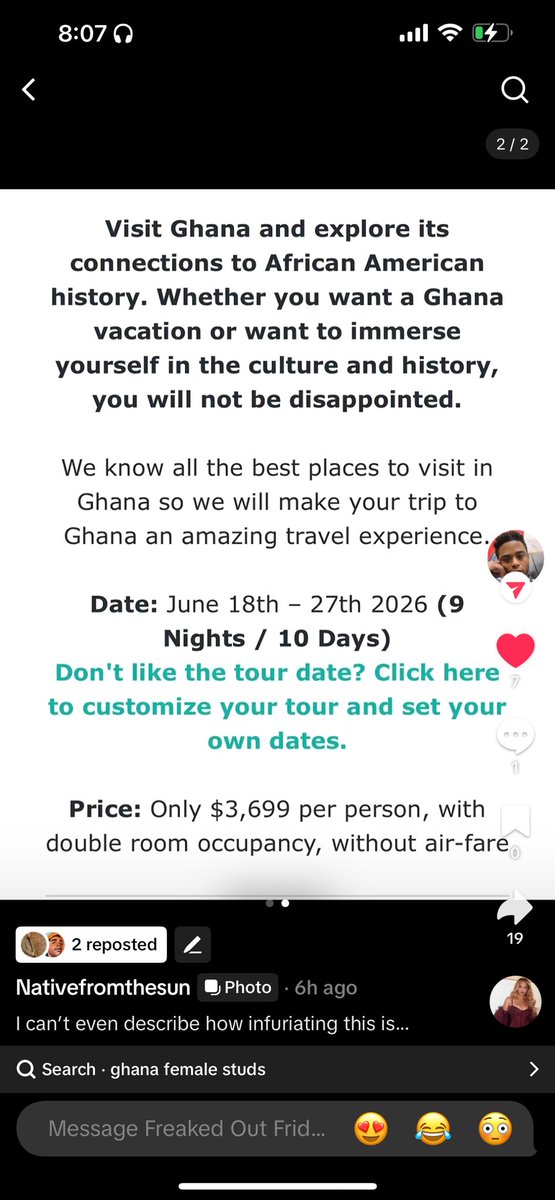 Darvid 🐢🪶🏹 tweet media