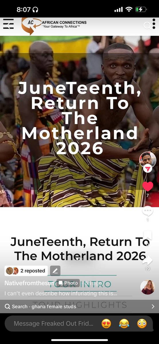 Darvid 🐢🪶🏹 tweet media