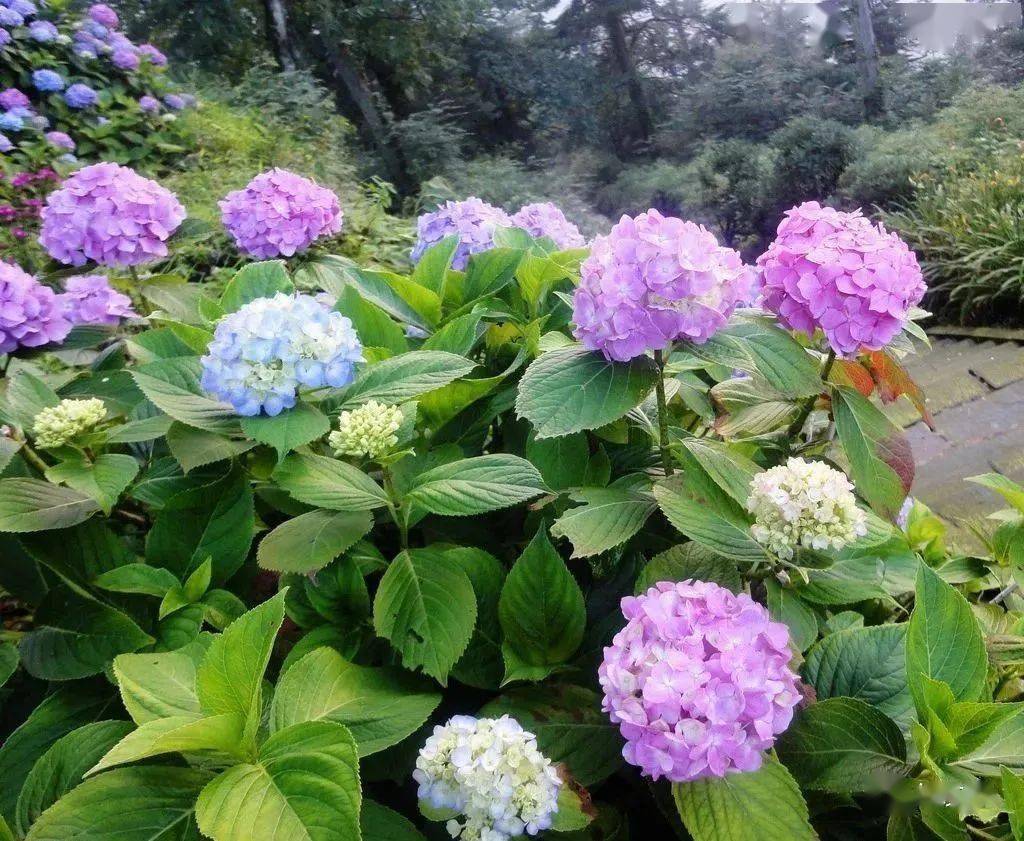 Evelyn Ortiz Prieto tweet media