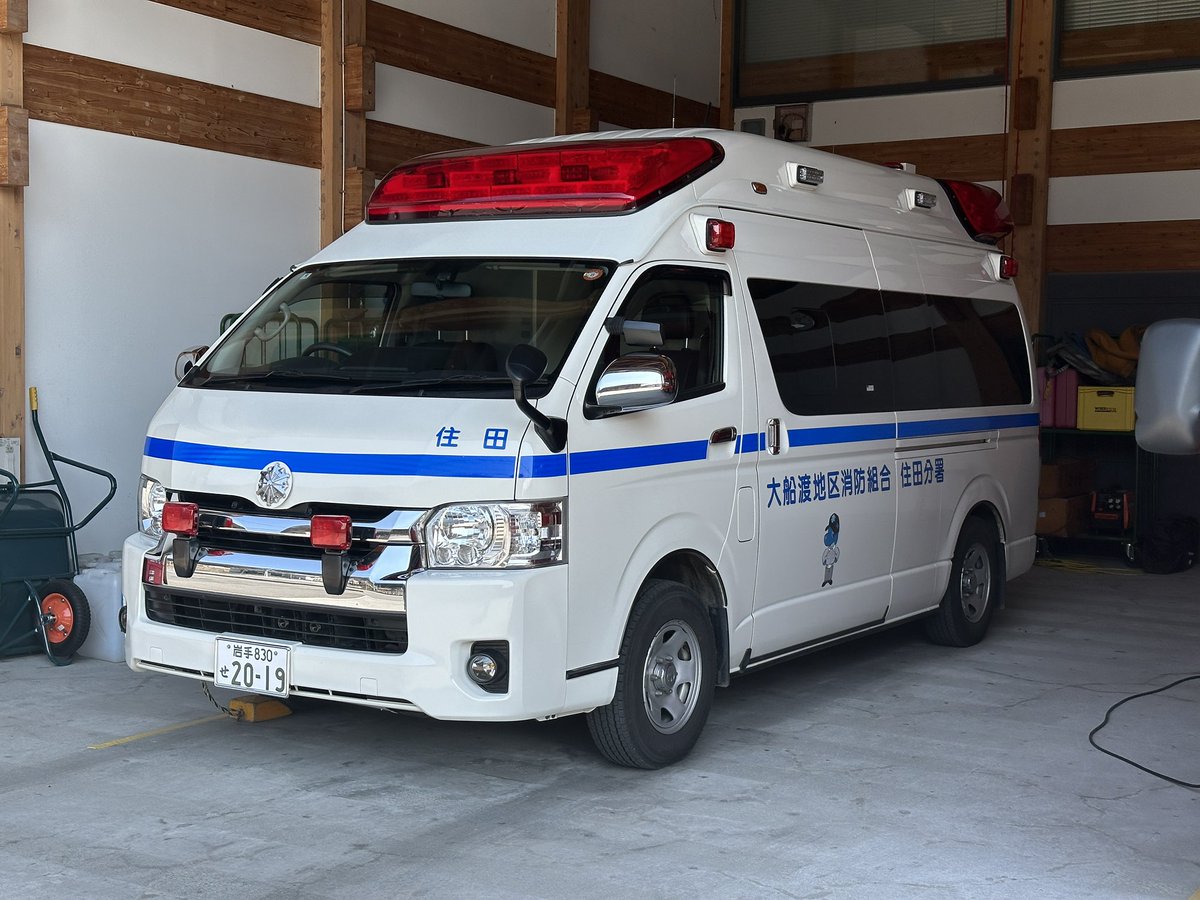 SHARK🦈 tweet media