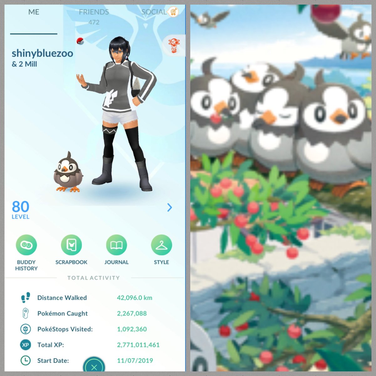 Shinybluezoo- Jane tweet media