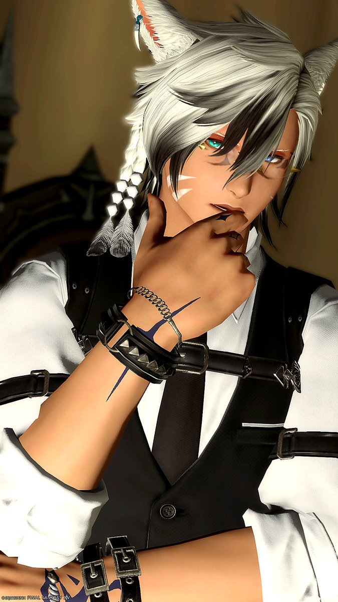 三毛猫アッシュ tweet media