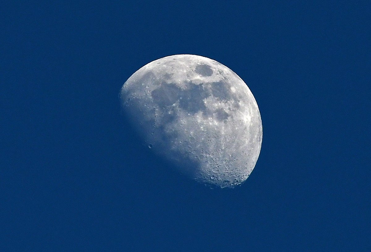 Jim Feeney tweet media