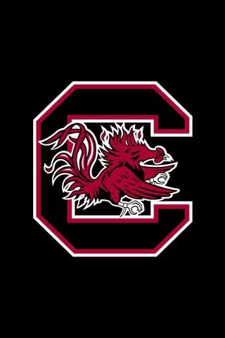 ELIMinate28's tweet image. EXCITED to be back in Columbia tomorrow. 🐓
#SPURSUP

 @CoachSBeamer @DarrenUscher @SamSerbay @brianbachman_ @coachfurrey @GamecockFB @elodge4 @zachbendorfSC @StagsRecruiting
