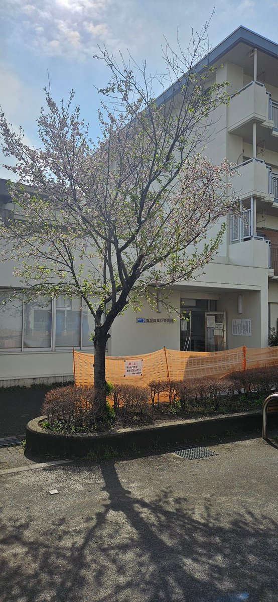 まきいち|3/28(土)CNPトレカ交流会in葛飾かなまち| tweet media