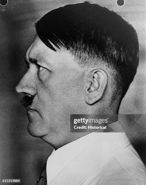 STEELE🟧 tweet media