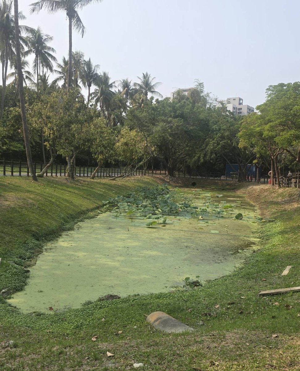 ポンメルシー tweet media