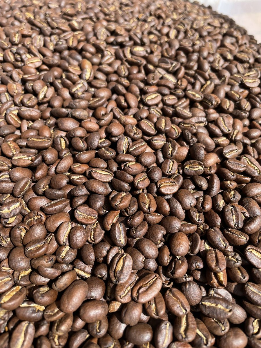 まるきますた☕️ tweet media