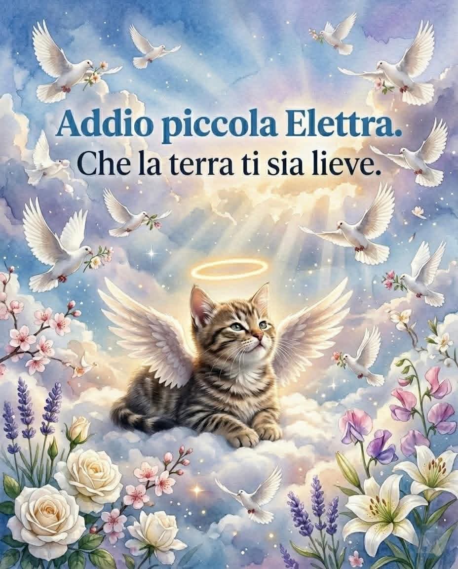 sarah 💕💕 tweet media