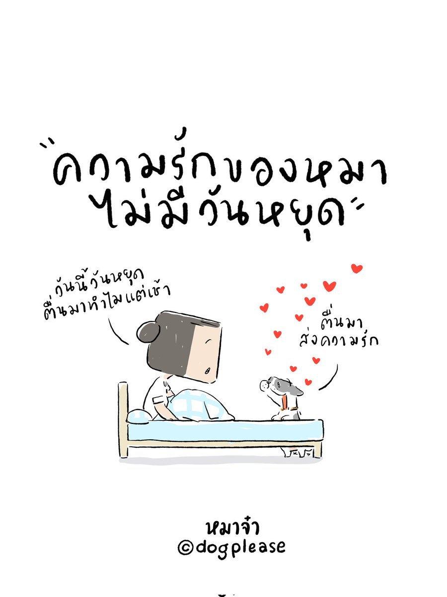 หมาจ๋า tweet media